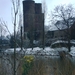 Het gravenkasteel ,met op de voorgrond nog boerenwormkruid