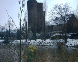 Het gravenkasteel ,met op de voorgrond nog boerenwormkruid