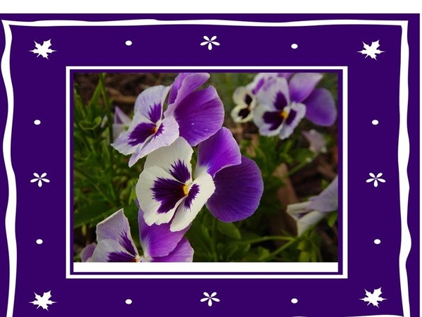 bloemen 06 (Medium) (Medium)