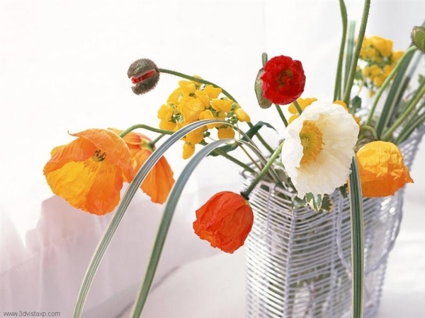 bloemen 36 (Medium) (Medium)