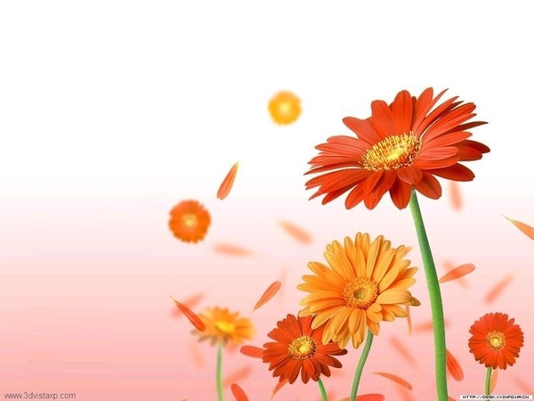 bloemen 48 (Medium) (Medium)
