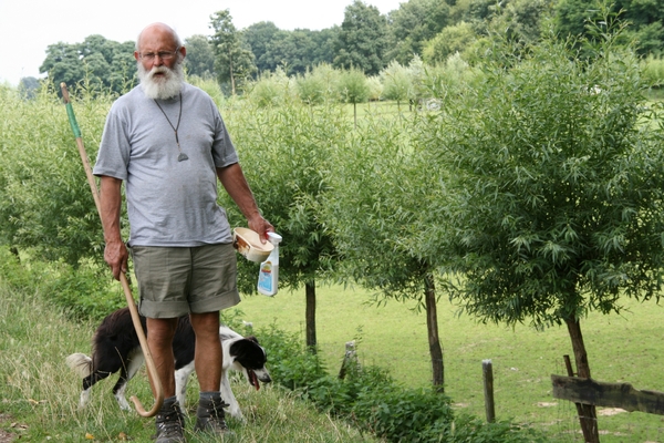 de schaapherder