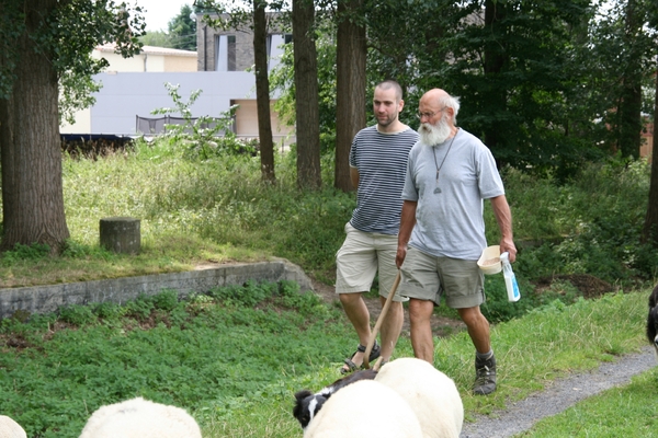 schaapherder met leerling herder