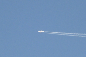 CIMG4633