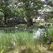 Omgeving en natuur zooooo mooi12