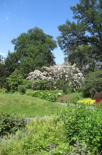 Omgeving en natuur zooooo mooi4