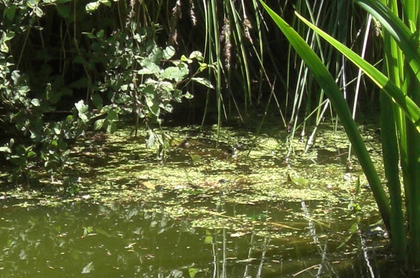 Omgeving en natuur zooooo mooi.5