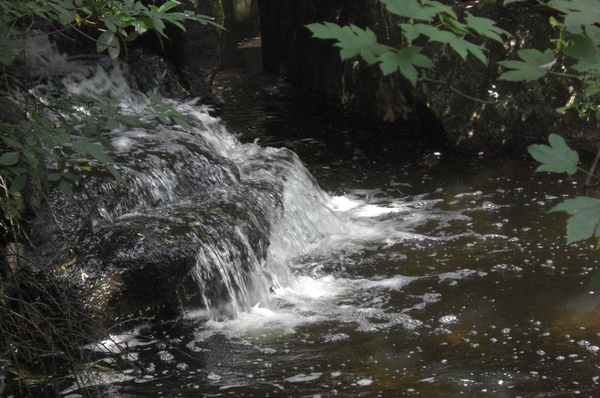 Omgeving en natuur zooooo mooi10