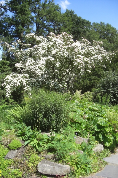 Omgeving en natuur zooooo mooi.2