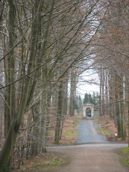 Arboretum Tervuren