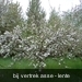pajottenswandel 1 021