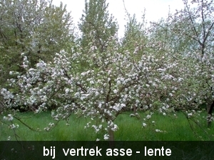 pajottenswandel 1 021