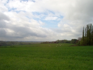 pajottenswandel 1 022