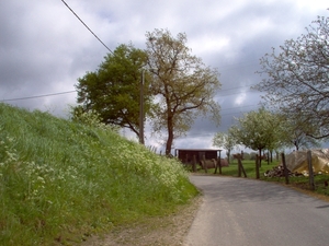 pajottenswandel 1 027
