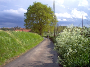pajottenswandel 1 051