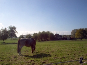 october 08 024