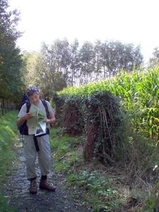 october 08 054