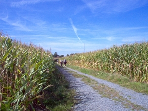 september 015
