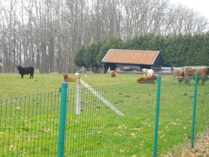 IMGP0372