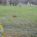 IMGP0380