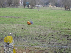 IMGP0380