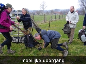 IMGP0392