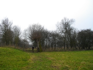 IMGP0422