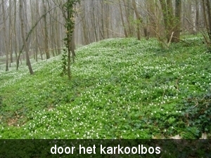 IMGP0603