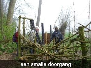 IMGP0606