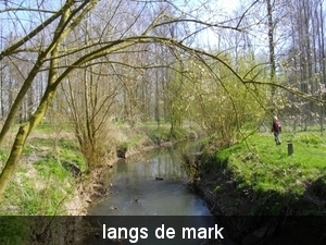IMGP0618
