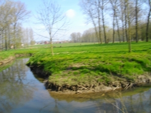 IMGP0625