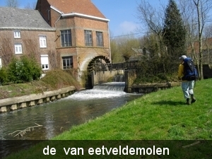 IMGP0627
