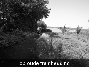 IMGP1331