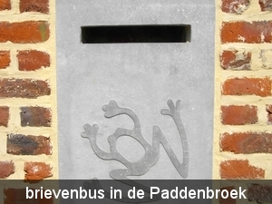 IMGP1334