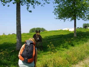 IMGP1336