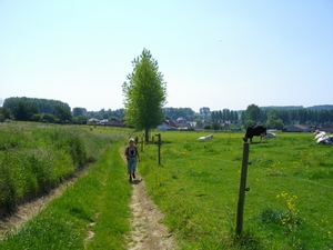 IMGP1338