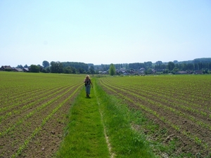 IMGP1339