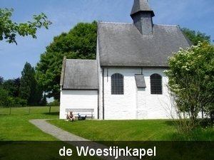 IMGP1351