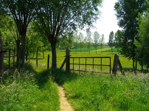 IMGP1356
