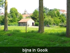 IMGP1371