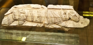 DSC02227