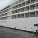 Cruise 11- 08 097