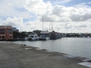 Cruise 11- 08 159