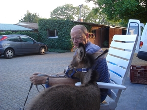 medar in 2007
