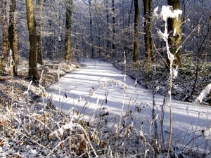Winter 018