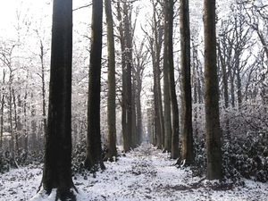 Winter 022