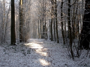 Winter 042