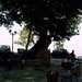 Pilion juni 2007 014