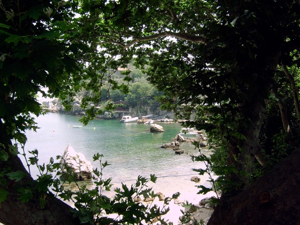 Pilion juni 2007 067