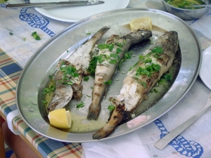 Pilion juni 2007 079